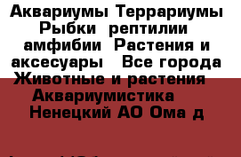 Аквариумы.Террариумы.Рыбки, рептилии, амфибии. Растения и аксесуары - Все города Животные и растения » Аквариумистика   . Ненецкий АО,Ома д.